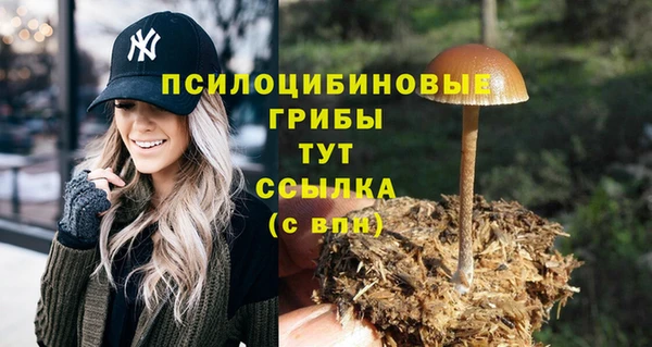 COCAINE Инсар