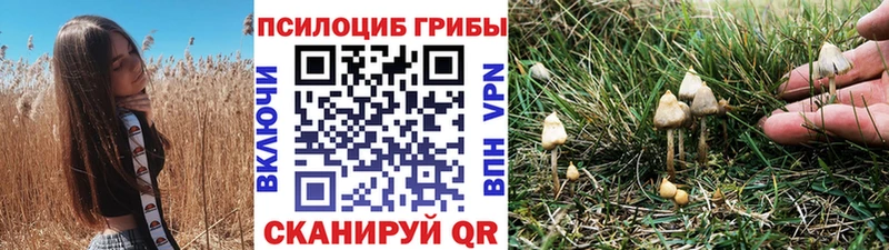 Купить где  Ишим  Псилоцибиновые грибы MAGIC MUSHROOMS 